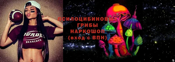 мдпв Балахна